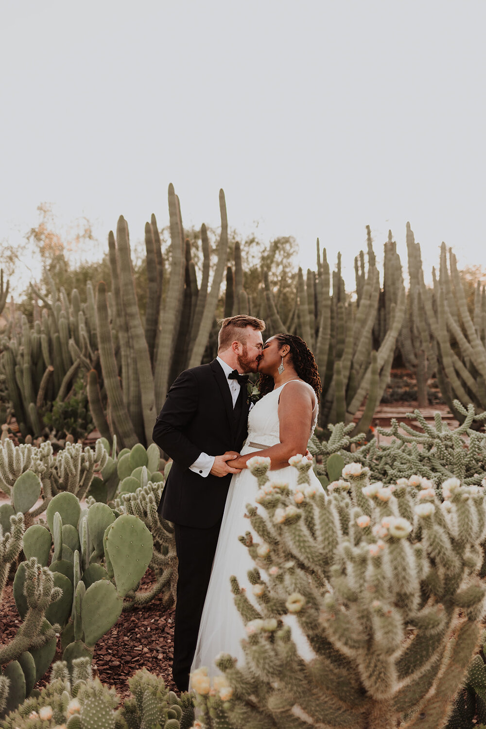 Our Brilliant Bride Tricha | Desert Botanical Gardens. Desktop Image